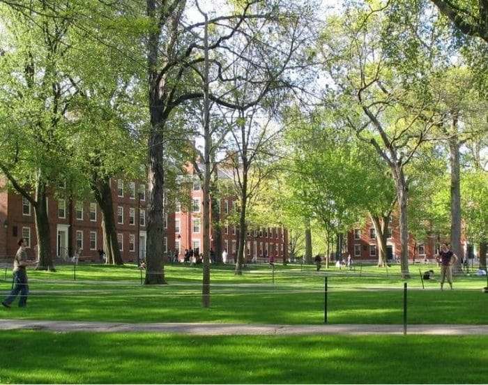 Harvard Yard is dappled in sunlight.