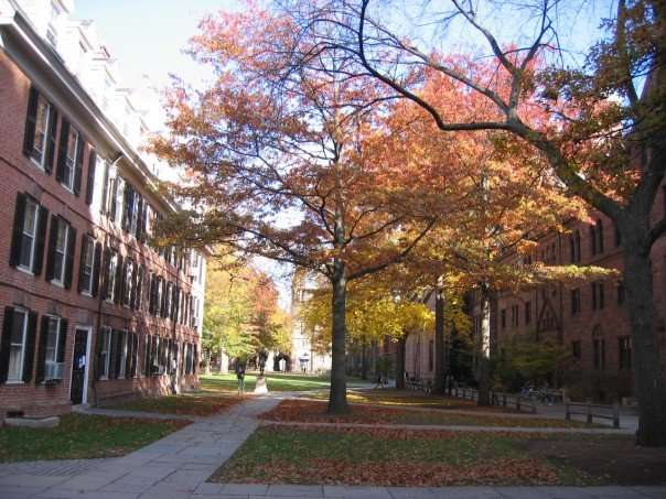 This is a wide shot of a college campus in autumn.
