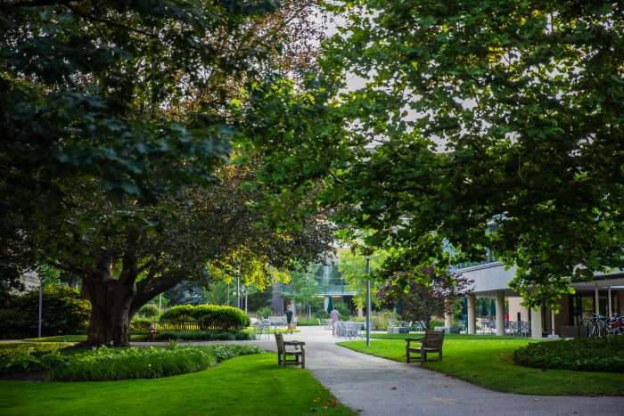 Two benches are featured by grass at Harvard University on a spring day.