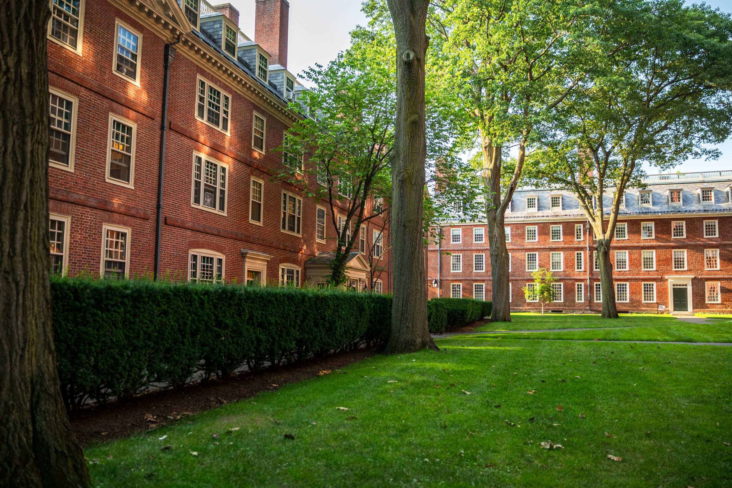 Harvard Yard is featured on a sunny day.