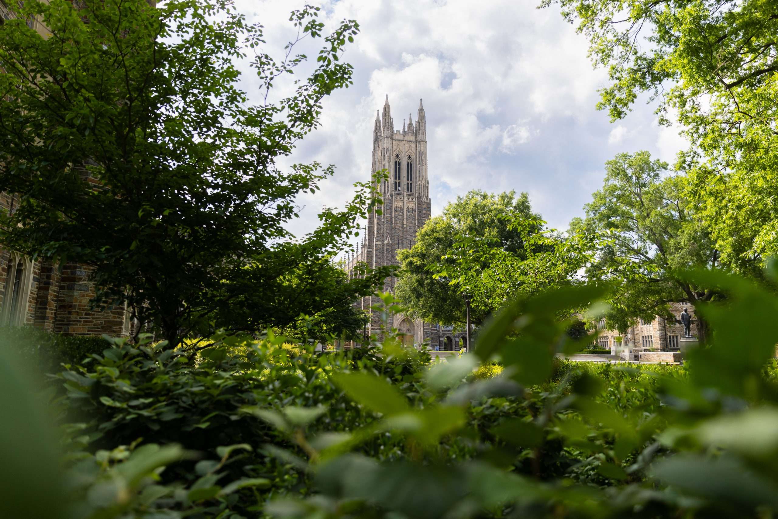 Duke Chapel is visible through the trees at Duke University.