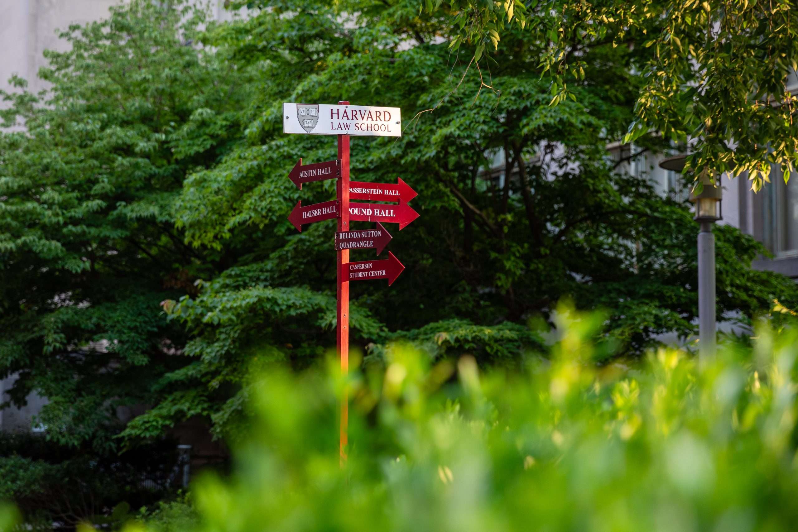 A sign post points to Harvard Law School.