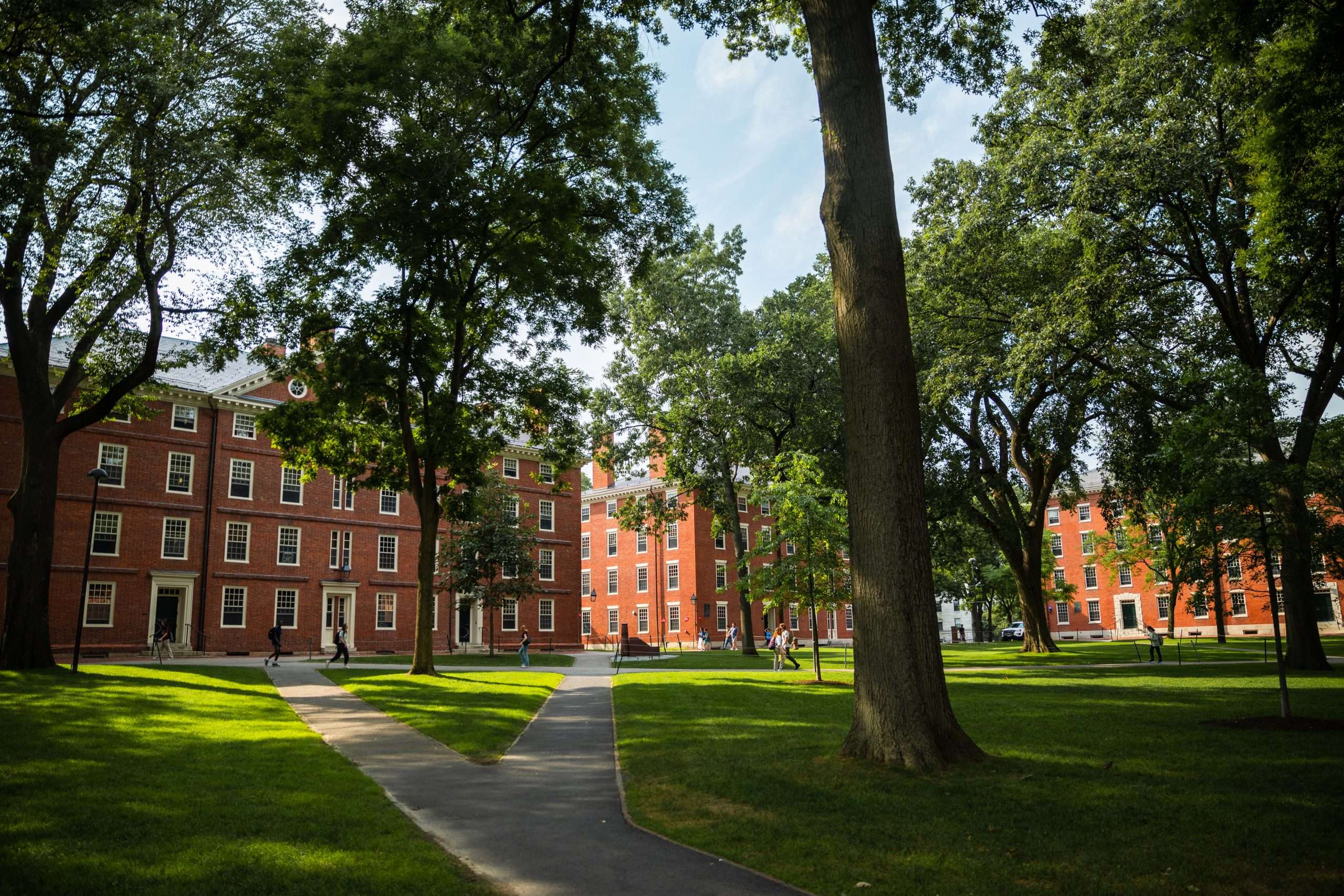 This is a landscape shot of Harvard Yard.