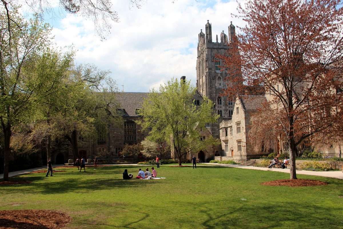 Students sit on a lawn in front of gothic architecture at Yale University.